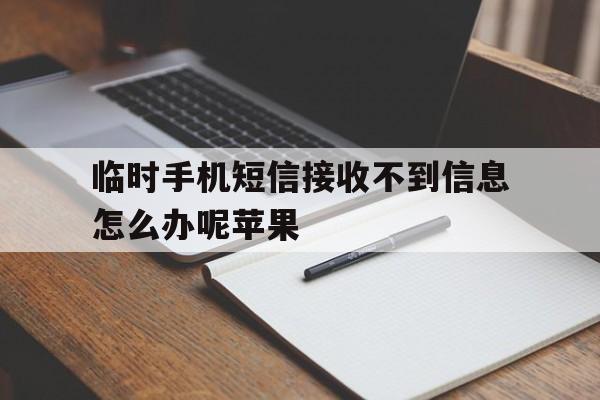 临时手机短信接收不到信息怎么办呢苹果 临时手机短信接收不到信息怎么办呢苹果