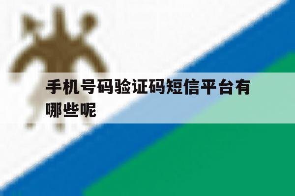 手机号码验证码短信平台有哪些呢 手机号码验证码短信平台有哪些呢