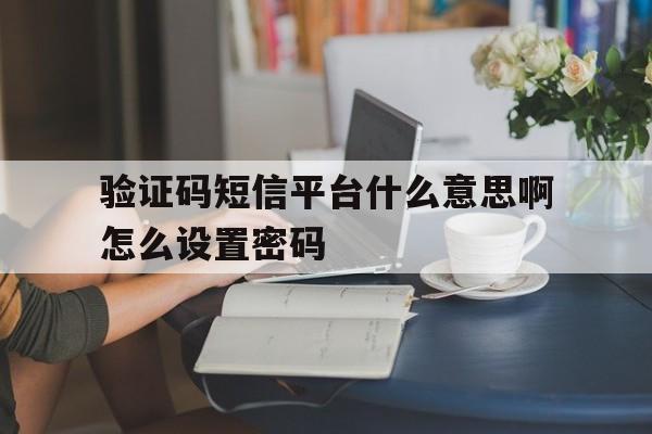 验证码短信平台什么意思啊怎么设置密码 验证码短信平台什么意思啊怎么设置密码
