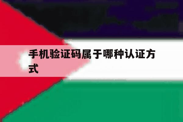 手机验证码属于哪种认证方式 手机验证码属于哪种认证方式