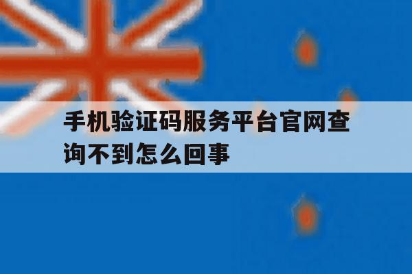 手机验证码服务平台官网查询不到怎么回事的简单介绍 手机验证码服务平台官网查询不到怎么回事的简单介绍