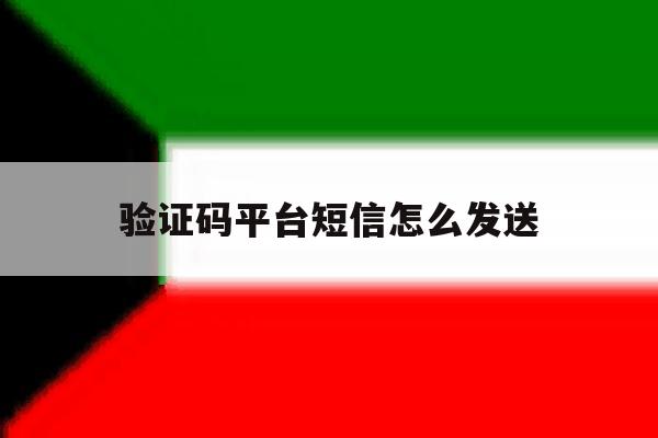 验证码平台短信怎么发送 验证码平台短信怎么发送