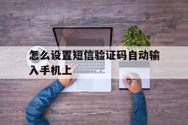 怎么设置短信验证码自动输入手机上 怎么设置短信验证码自动输入手机上