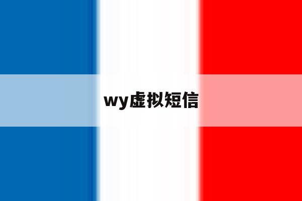 wy虚拟短信 wy虚拟短信
