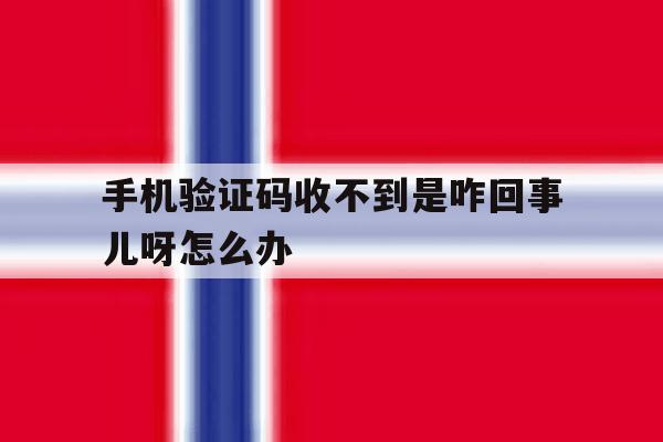 手机验证码收不到是咋回事儿呀怎么办 手机验证码收不到是咋回事儿呀怎么办