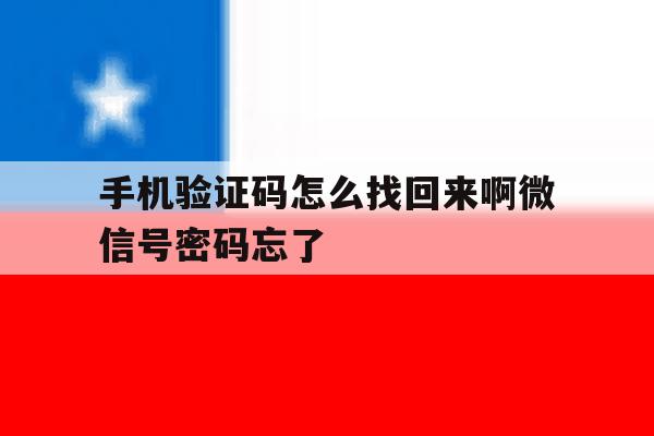 手机验证码怎么找回来啊微信号密码忘了的简单介绍 手机验证码怎么找回来啊微信号密码忘了的简单介绍