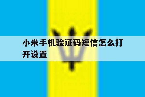 小米手机验证码短信怎么打开设置 小米手机验证码短信怎么打开设置