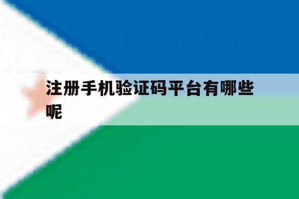 注册手机验证码平台有哪些呢