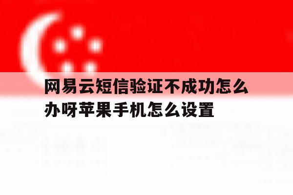 关于网易云短信验证不成功怎么办呀苹果手机怎么设置的信息 关于网易云短信验证不成功怎么办呀苹果手机怎么设置的信息