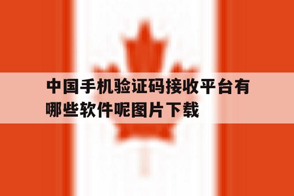 中国手机验证码接收平台有哪些软件呢图片下载的简单介绍 中国手机验证码接收平台有哪些软件呢图片下载的简单介绍