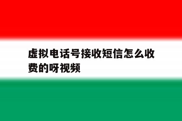 虚拟电话号接收短信怎么收费的呀视频 虚拟电话号接收短信怎么收费的呀视频