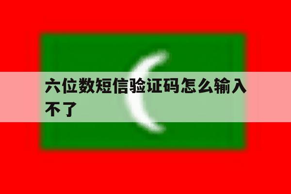 六位数短信验证码怎么输入不了 六位数短信验证码怎么输入不了