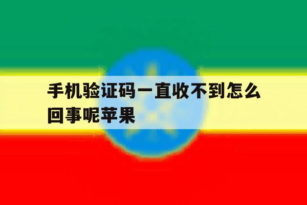 手机验证码一直收不到怎么回事呢苹果 手机验证码一直收不到怎么回事呢苹果