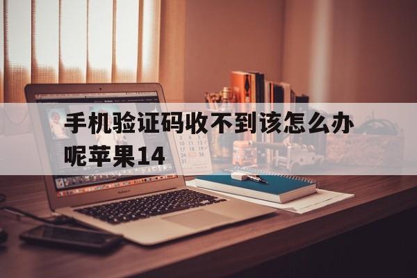 关于手机验证码收不到该怎么办呢苹果14的信息 关于手机验证码收不到该怎么办呢苹果14的信息