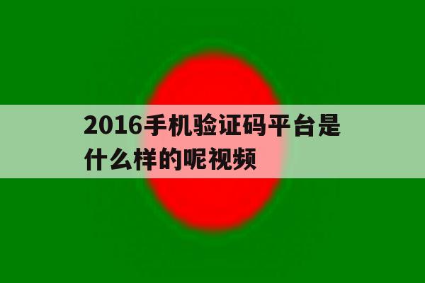 2016手机验证码平台是什么样的呢视频 2016手机验证码平台是什么样的呢视频