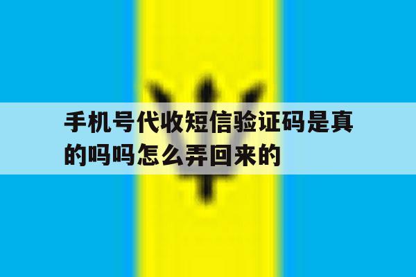 手机号代收短信验证码是真的吗吗怎么弄回来的的简单介绍 手机号代收短信验证码是真的吗吗怎么弄回来的的简单介绍