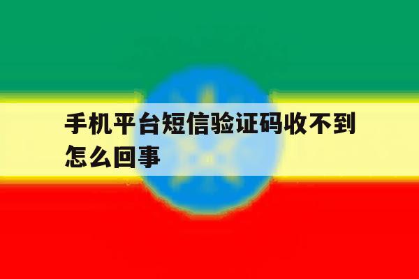 手机平台短信验证码收不到怎么回事 手机平台短信验证码收不到怎么回事