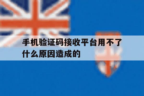 手机验证码接收平台用不了什么原因造成的 手机验证码接收平台用不了什么原因造成的