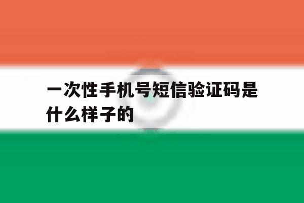 一次性手机号短信验证码是什么样子的 一次性手机号短信验证码是什么样子的